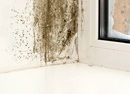 Humedades por condensación