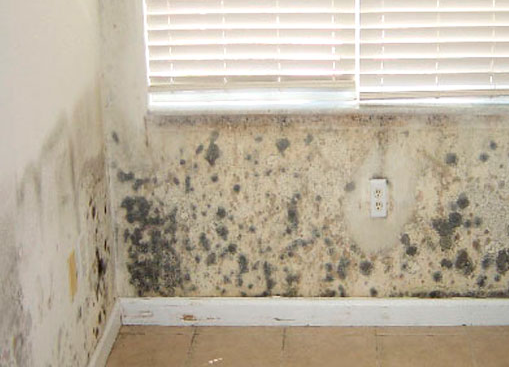 Humedades por condensación