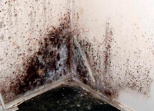 Problemas de condensación