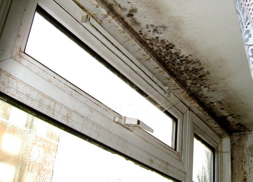 Condensaciones en el hogar title=